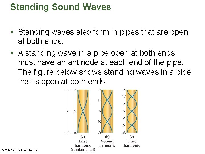 Standing Sound Waves • Standing waves also form in pipes that are open at