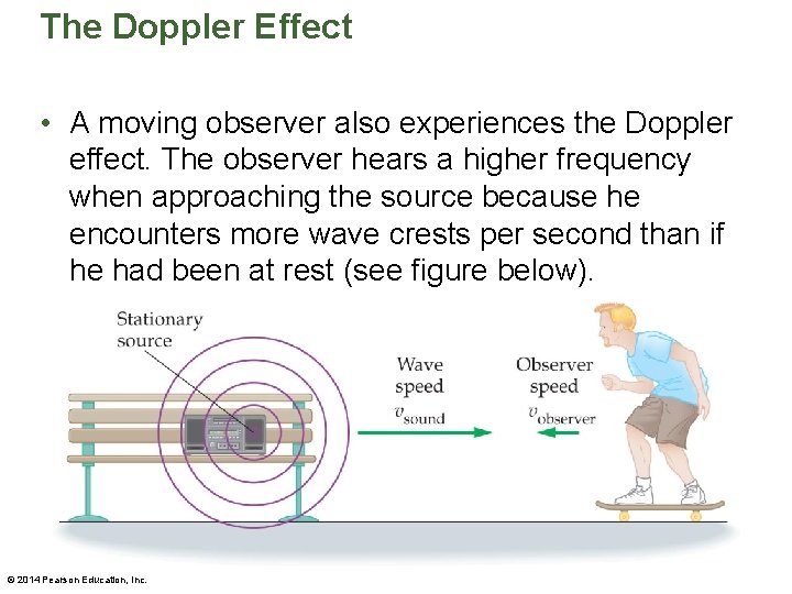 The Doppler Effect • A moving observer also experiences the Doppler effect. The observer