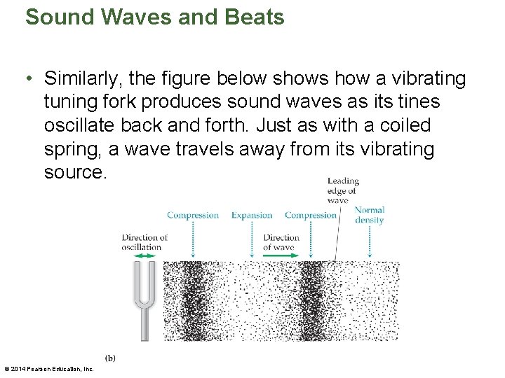 Sound Waves and Beats • Similarly, the figure below shows how a vibrating tuning
