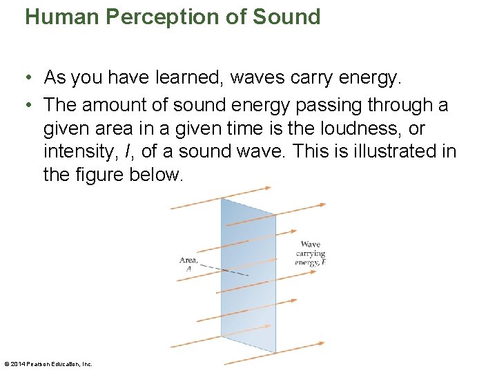 Human Perception of Sound • As you have learned, waves carry energy. • The