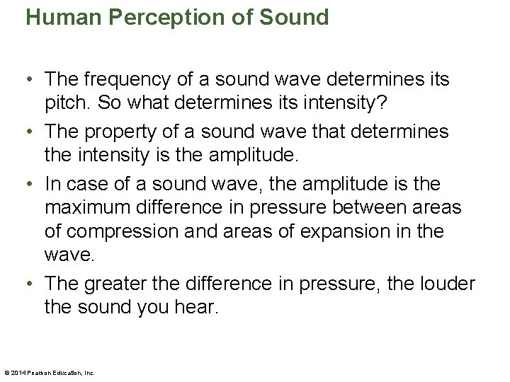 Human Perception of Sound • The frequency of a sound wave determines its pitch.