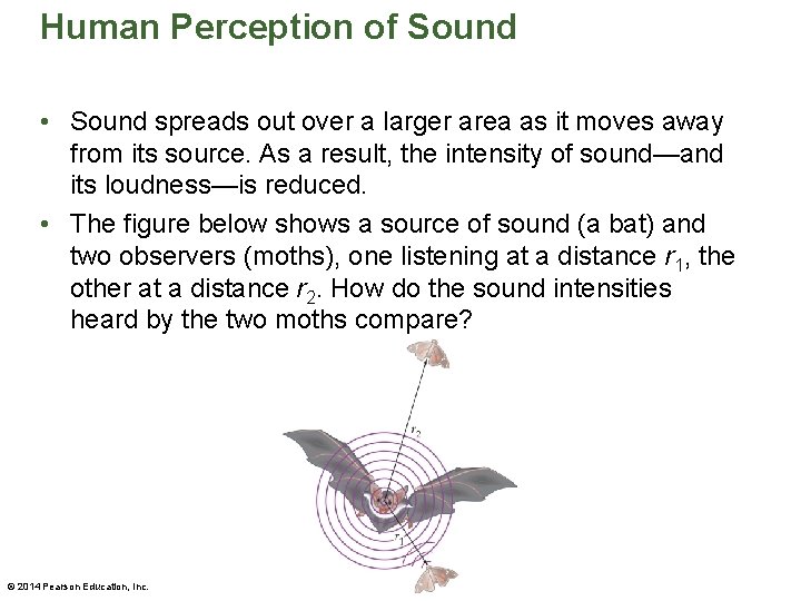 Human Perception of Sound • Sound spreads out over a larger area as it