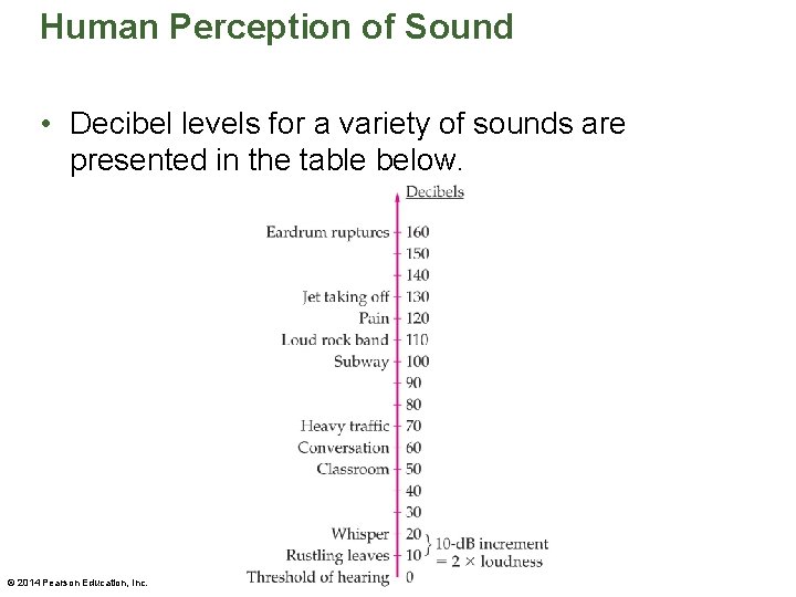 Human Perception of Sound • Decibel levels for a variety of sounds are presented