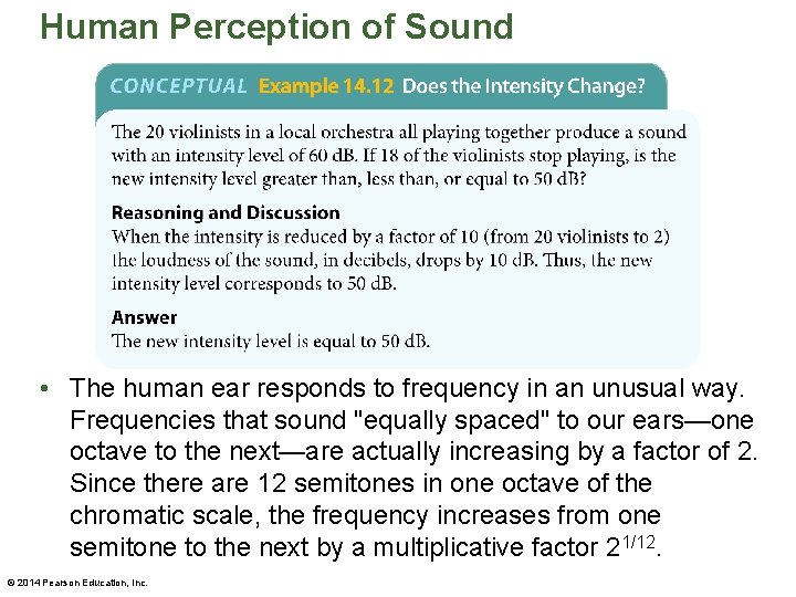 Human Perception of Sound • The human ear responds to frequency in an unusual