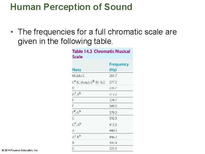 Human Perception of Sound • The frequencies for a full chromatic scale are given