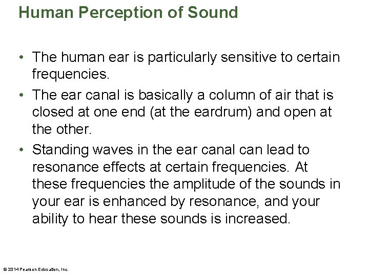 Human Perception of Sound • The human ear is particularly sensitive to certain frequencies.