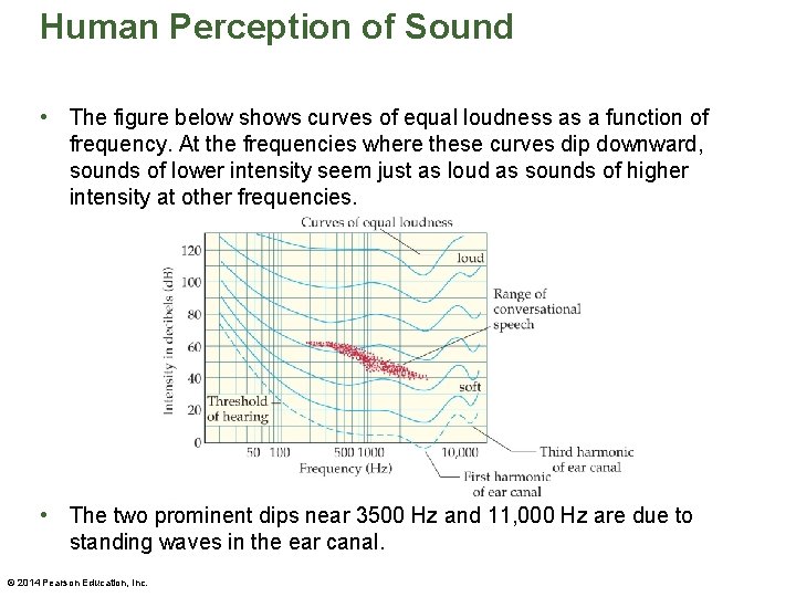 Human Perception of Sound • The figure below shows curves of equal loudness as