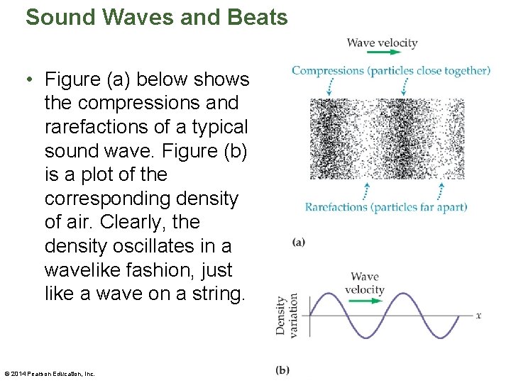 Sound Waves and Beats • Figure (a) below shows the compressions and rarefactions of
