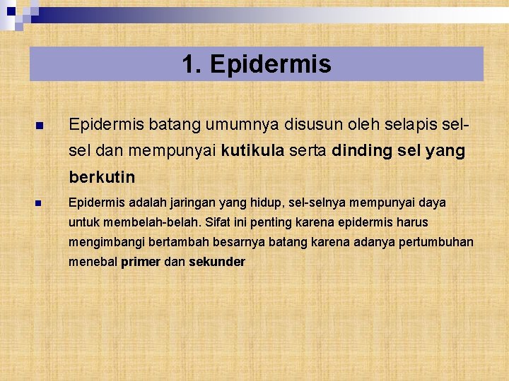 1. Epidermis n Epidermis batang umumnya disusun oleh selapis selsel dan mempunyai kutikula serta