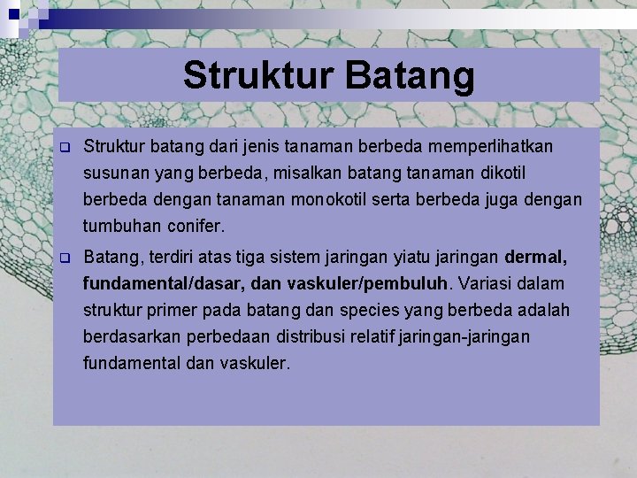 Struktur Batang q Struktur batang dari jenis tanaman berbeda memperlihatkan susunan yang berbeda, misalkan