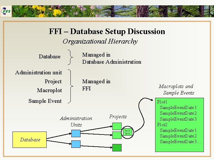 FFI – Database Setup Discussion Organizational Hierarchy Database Managed in Database Administration unit Project