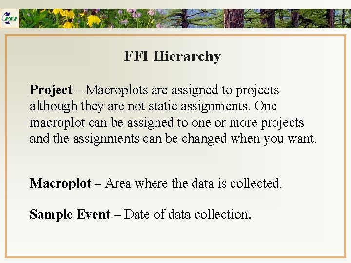 FFI Hierarchy Project – Macroplots are assigned to projects although they are not static