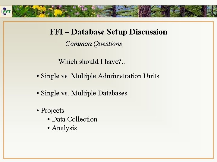 FFI – Database Setup Discussion Common Questions Which should I have? . . .