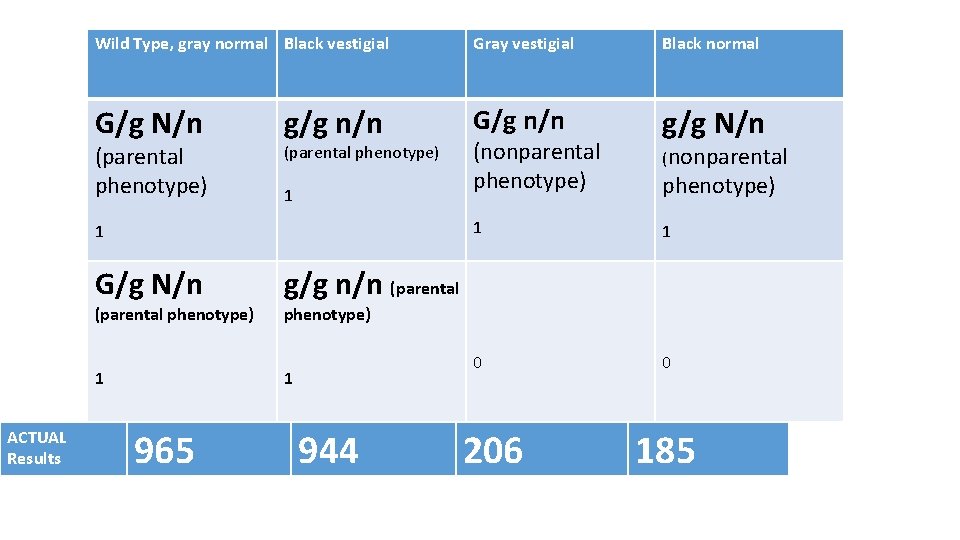 Wild Type, gray normal Black vestigial Gray vestigial Black normal G/g N/n G/g n/n