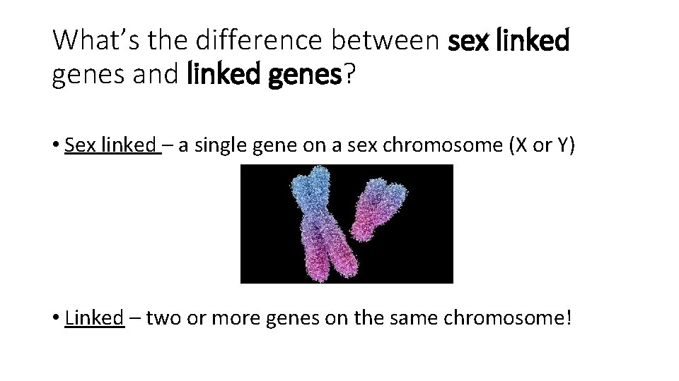 What’s the difference between sex linked genes and linked genes? • Sex linked –