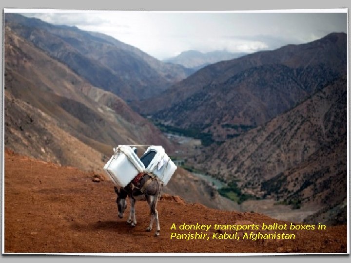 A donkey transports ballot boxes in Panjshir, Kabul, Afghanistan 