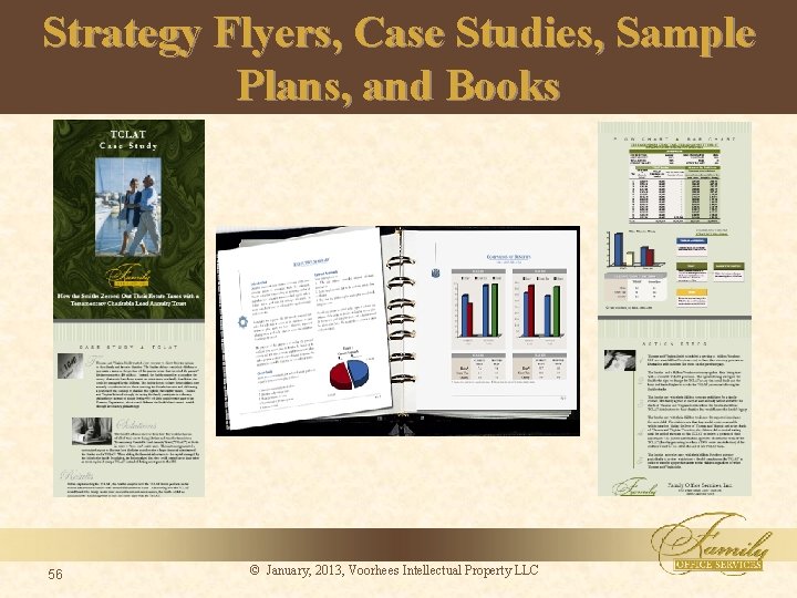 Strategy Flyers, Case Studies, Sample Plans, and Books 56 © January, 2013, Voorhees Intellectual