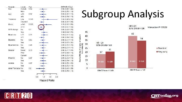 Subgroup Analysis 