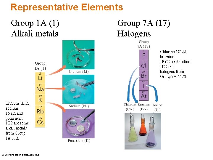 Representative Elements Group 1 A (1) Alkali metals Group 7 A (17) Halogens Chlorine
