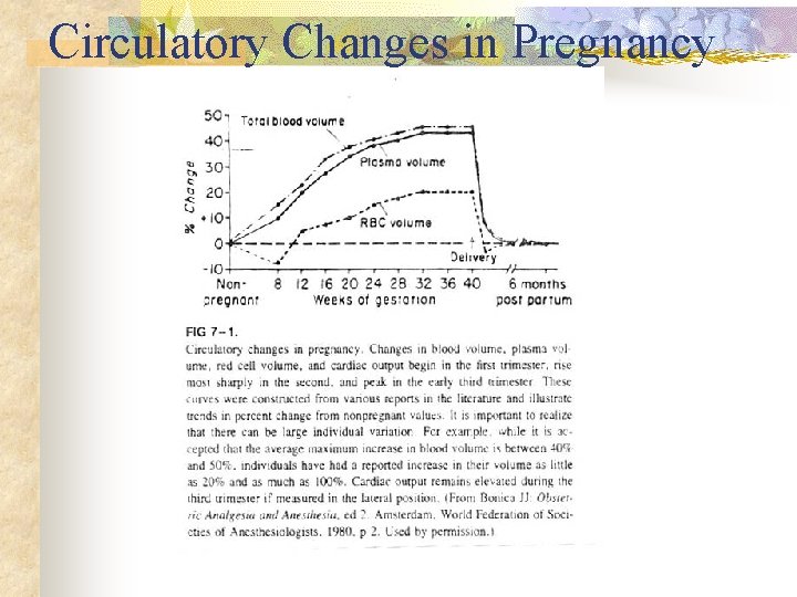 Circulatory Changes in Pregnancy 