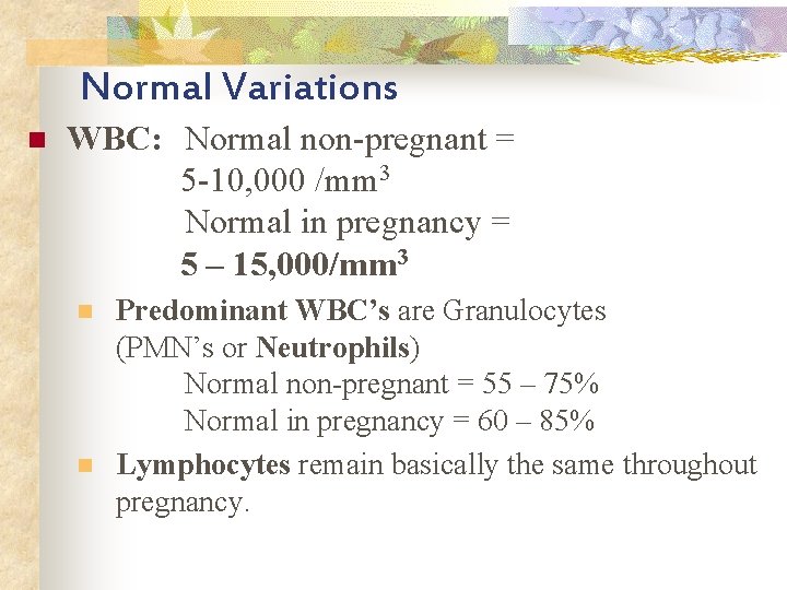 Normal Variations n WBC: Normal non-pregnant = 5 -10, 000 /mm 3 Normal in