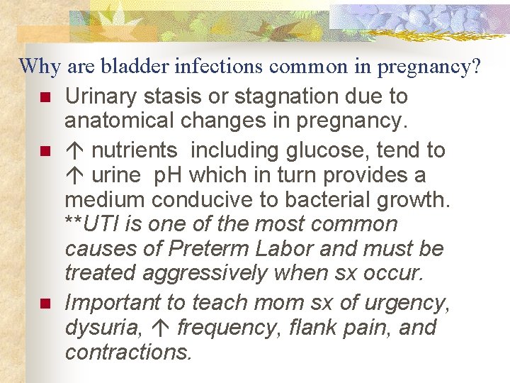 Why are bladder infections common in pregnancy? n Urinary stasis or stagnation due to
