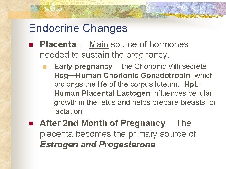 Endocrine Changes n Placenta-- Main source of hormones needed to sustain the pregnancy. n