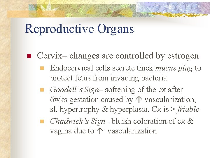 Reproductive Organs n Cervix– changes are controlled by estrogen n Endocervical cells secrete thick