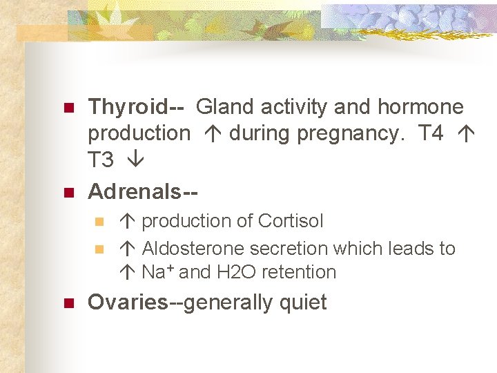 n n Thyroid-- Gland activity and hormone production during pregnancy. T 4 T 3