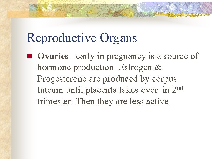 Reproductive Organs n Ovaries– early in pregnancy is a source of hormone production. Estrogen