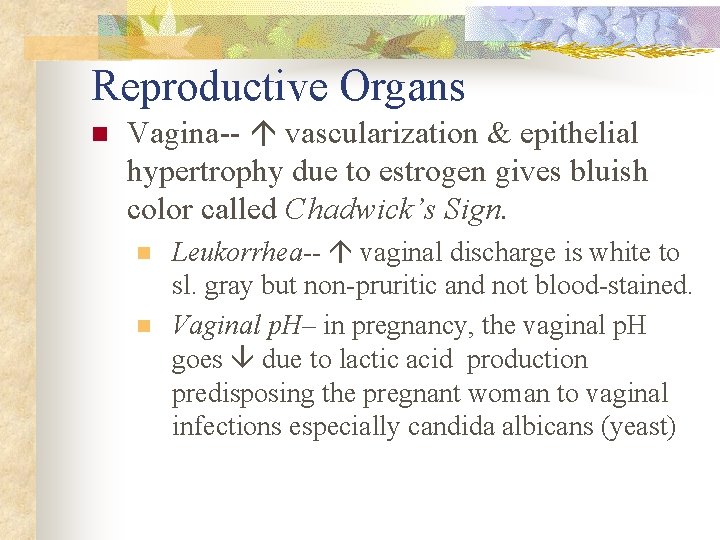 Reproductive Organs n Vagina-- vascularization & epithelial hypertrophy due to estrogen gives bluish color