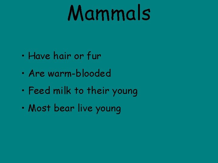Mammals • Have hair or fur • Are warm-blooded • Feed milk to their