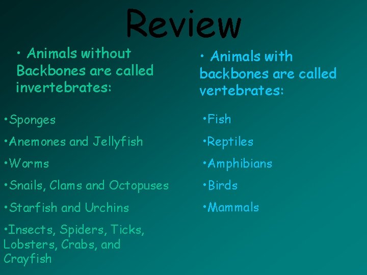 Review • Animals without Backbones are called invertebrates: • Animals with backbones are called