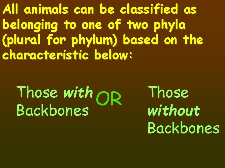 All animals can be classified as belonging to one of two phyla (plural for
