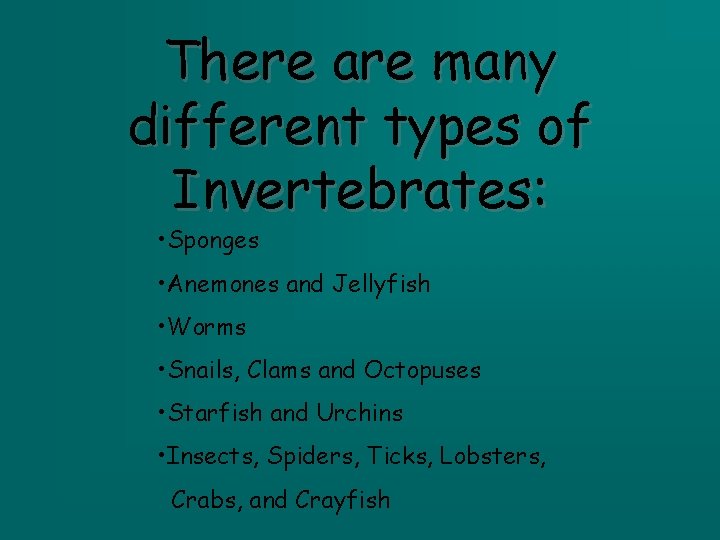 There are many different types of Invertebrates: • Sponges • Anemones and Jellyfish •