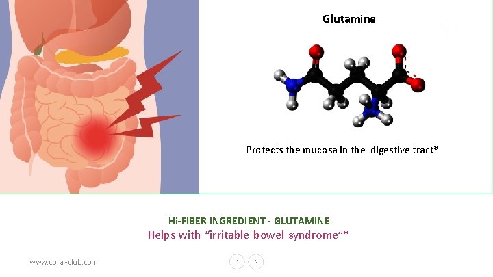 Glutamine Protects the mucosa in the digestive tract* Hi-FIBER INGREDIENT - GLUTAMINE Helps with