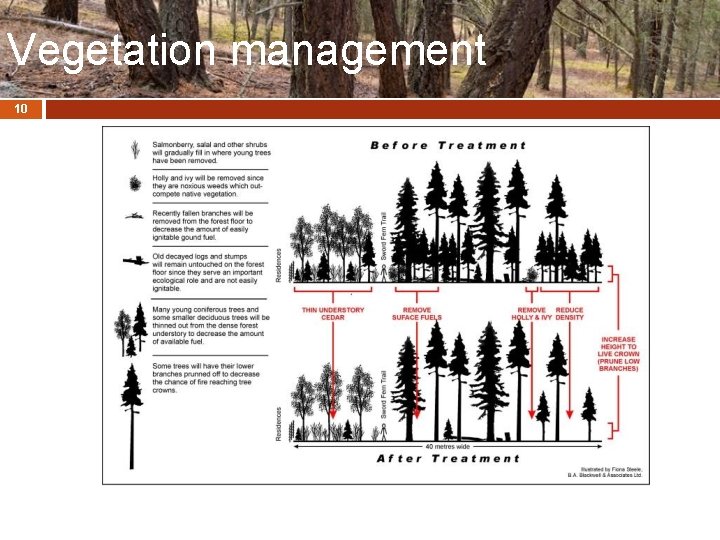 Vegetation management 10 