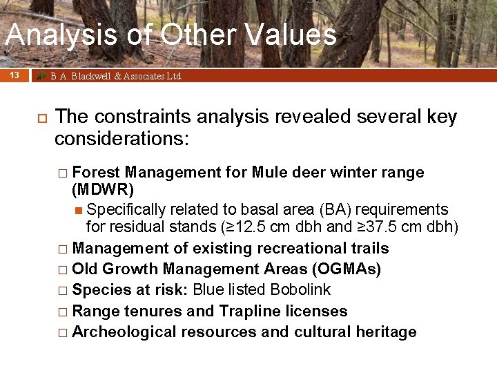 Analysis of Other Values B. A. Blackwell & Associates Ltd. 13 The constraints analysis