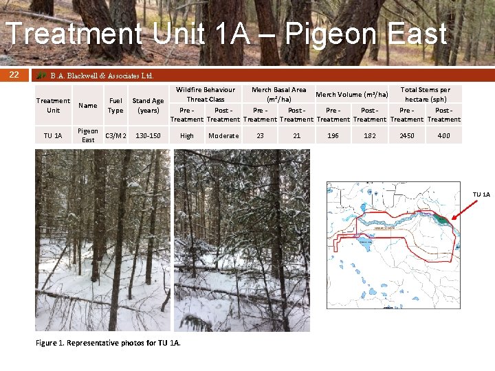 Treatment Unit 1 A – Pigeon East 22 B. A. Blackwell & Associates Ltd.