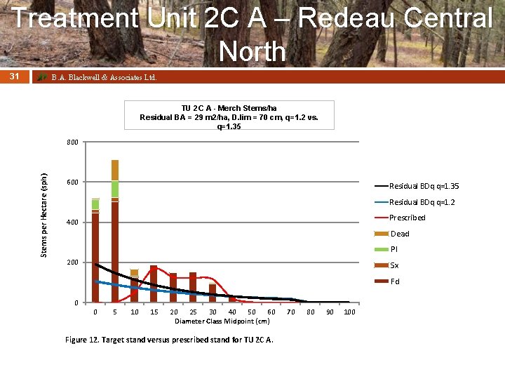 Treatment Unit 2 C A – Redeau Central North 31 B. A. Blackwell &