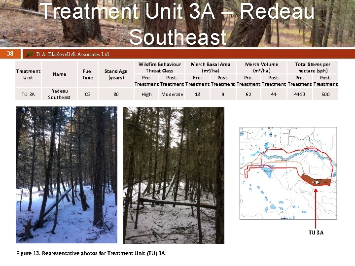 Treatment Unit 3 A – Redeau Southeast 38 B. A. Blackwell & Associates Ltd.