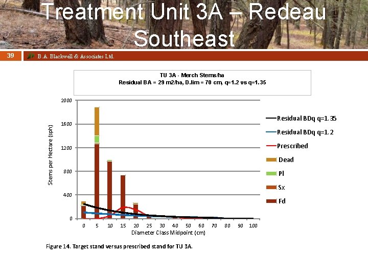 Treatment Unit 3 A – Redeau Southeast B. A. Blackwell & Associates Ltd. TU