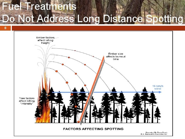 Fuel Treatments Do Not Address Long Distance Spotting 8 