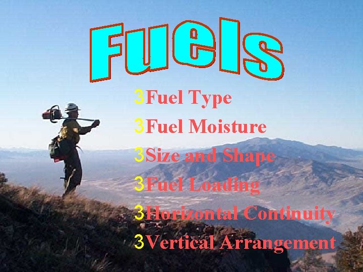 3 Fuel Type 3 Fuel Moisture 3 Size and Shape 3 Fuel Loading 3