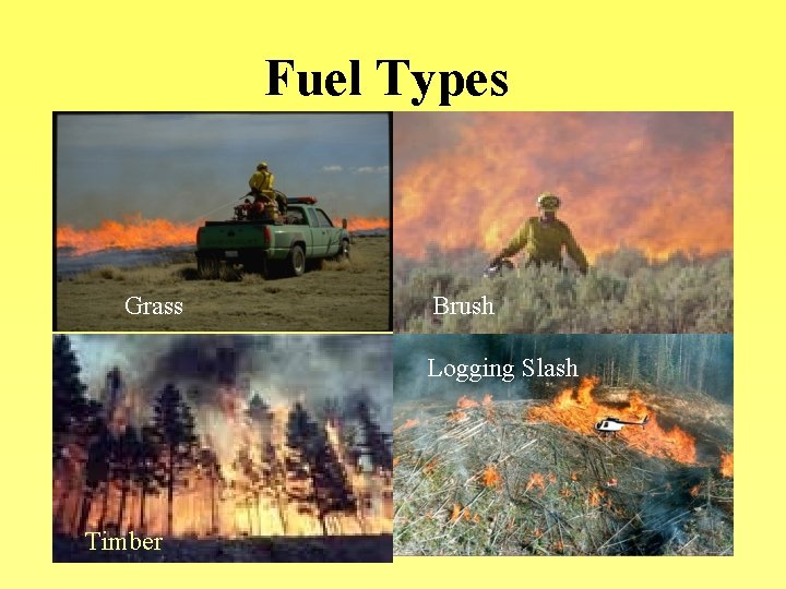 Fuel Types Grass Brush Logging Slash Timber 