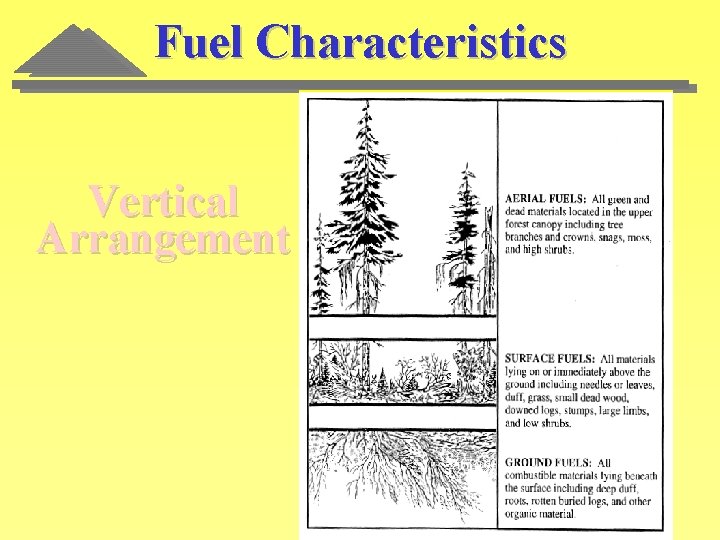 Fuel Characteristics Vertical Arrangement 