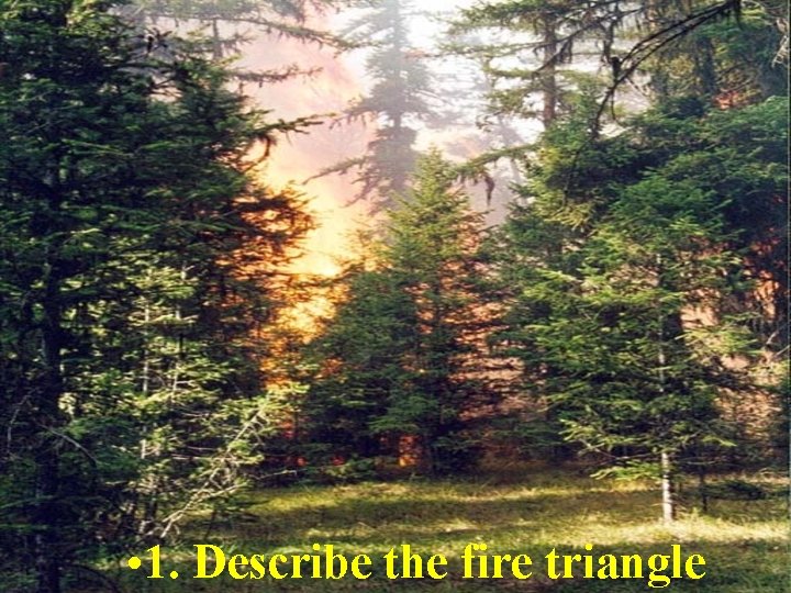  • 1. Describe the fire triangle 