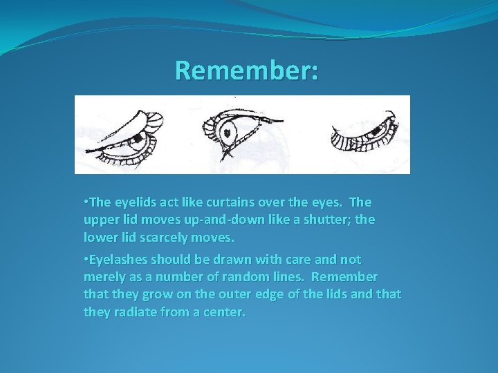 Remember: • The eyelids act like curtains over the eyes. The upper lid moves
