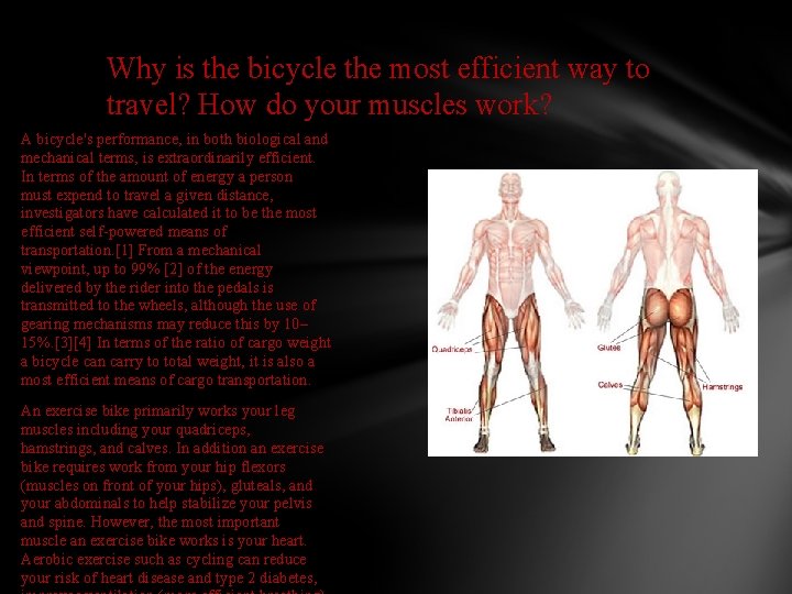 Why is the bicycle the most efficient way to travel? How do your muscles