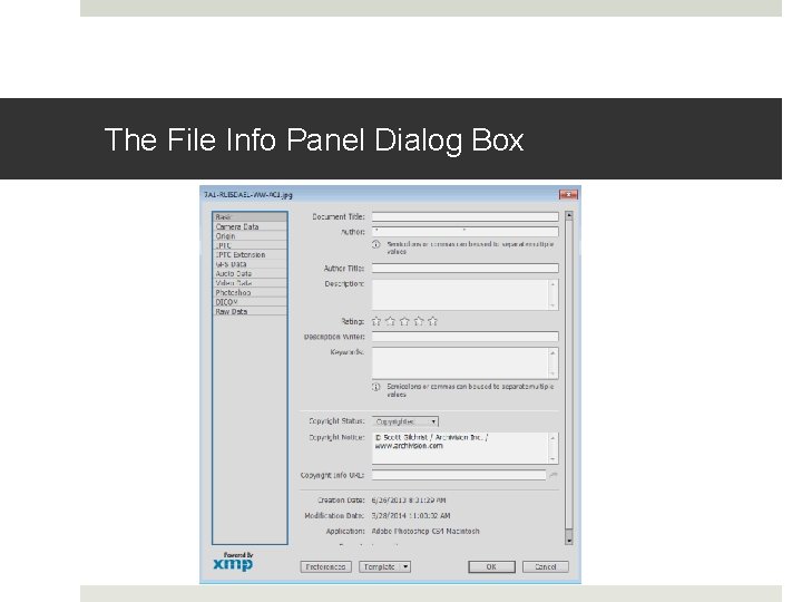 The File Info Panel Dialog Box The File Info Panel Dialog Box